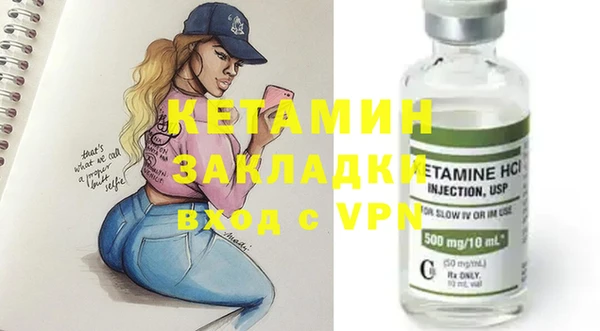 шишки Магас