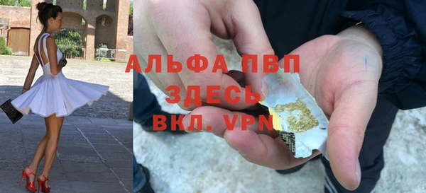 шишки Магас