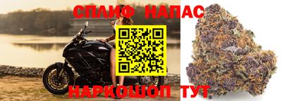 дмт Кандалакша