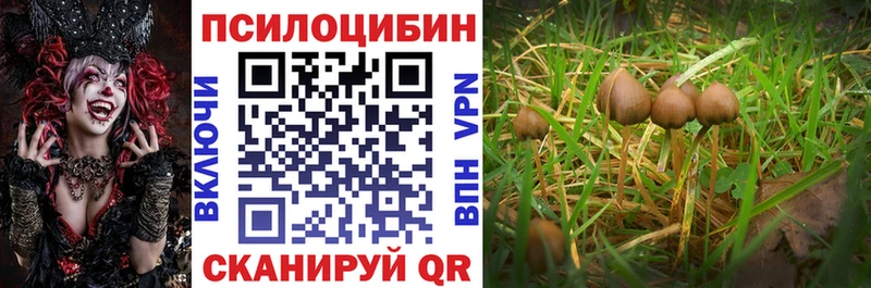 Псилоцибиновые грибы MAGIC MUSHROOMS  купить   Лыткарино 