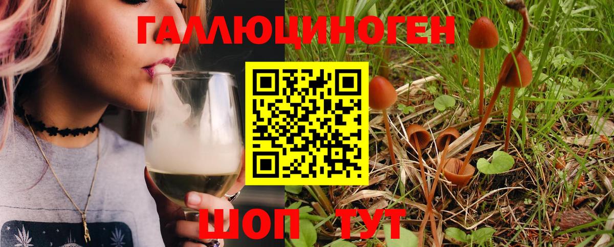Лыткарино  Галлюциногенные грибы Psilocybe  Вход с VPN 