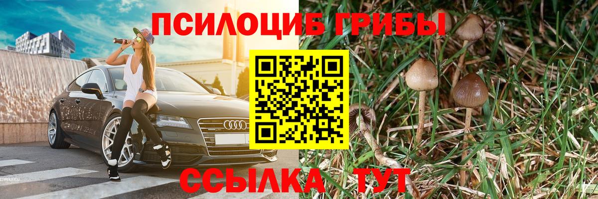 Псилоцибиновые грибы GOLDEN TEACHER Лыткарино