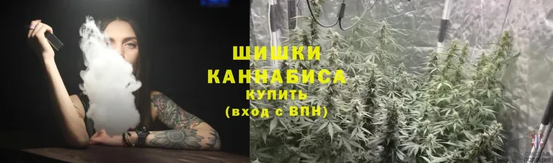 как найти   Лыткарино  Шишки марихуана Bruce Banner 